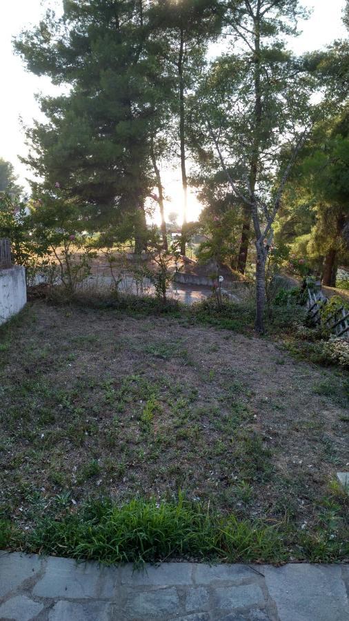 Villa 2-Bed Maisonette In Pine Forest, 250M From Beach Between Skala Fourka And Siviri Skála Foúrkas Exterior foto